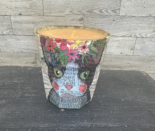 12 oz Soy Wax Caramel Scented Cat Candle