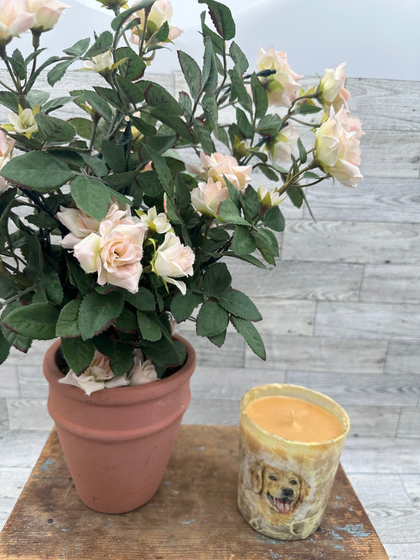 12 ounce Soy Wax Caramel Vanilla Scented Yellow Lab Candle
