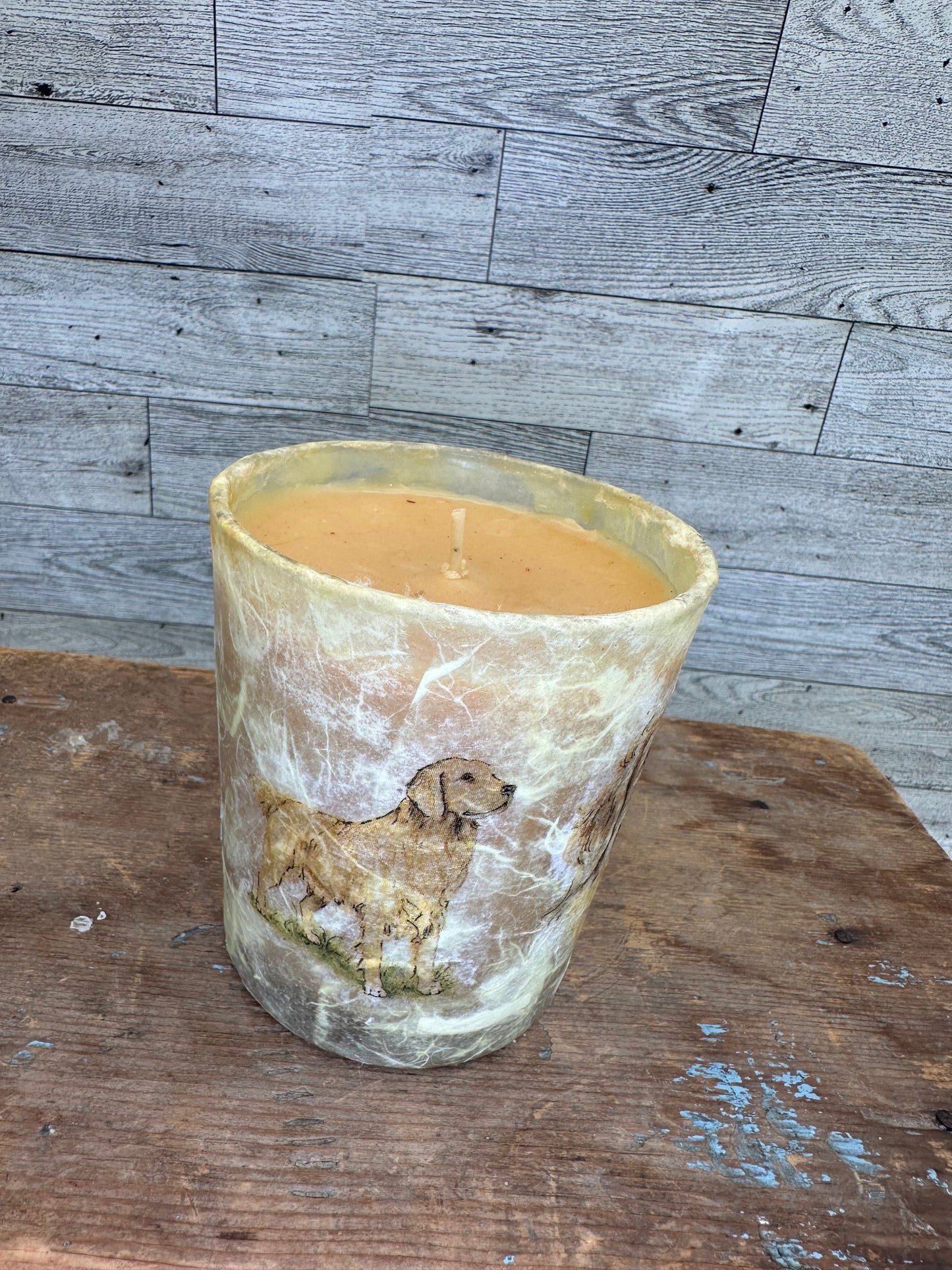 12 ounce Soy Wax Caramel Vanilla Scented Yellow Lab Candle