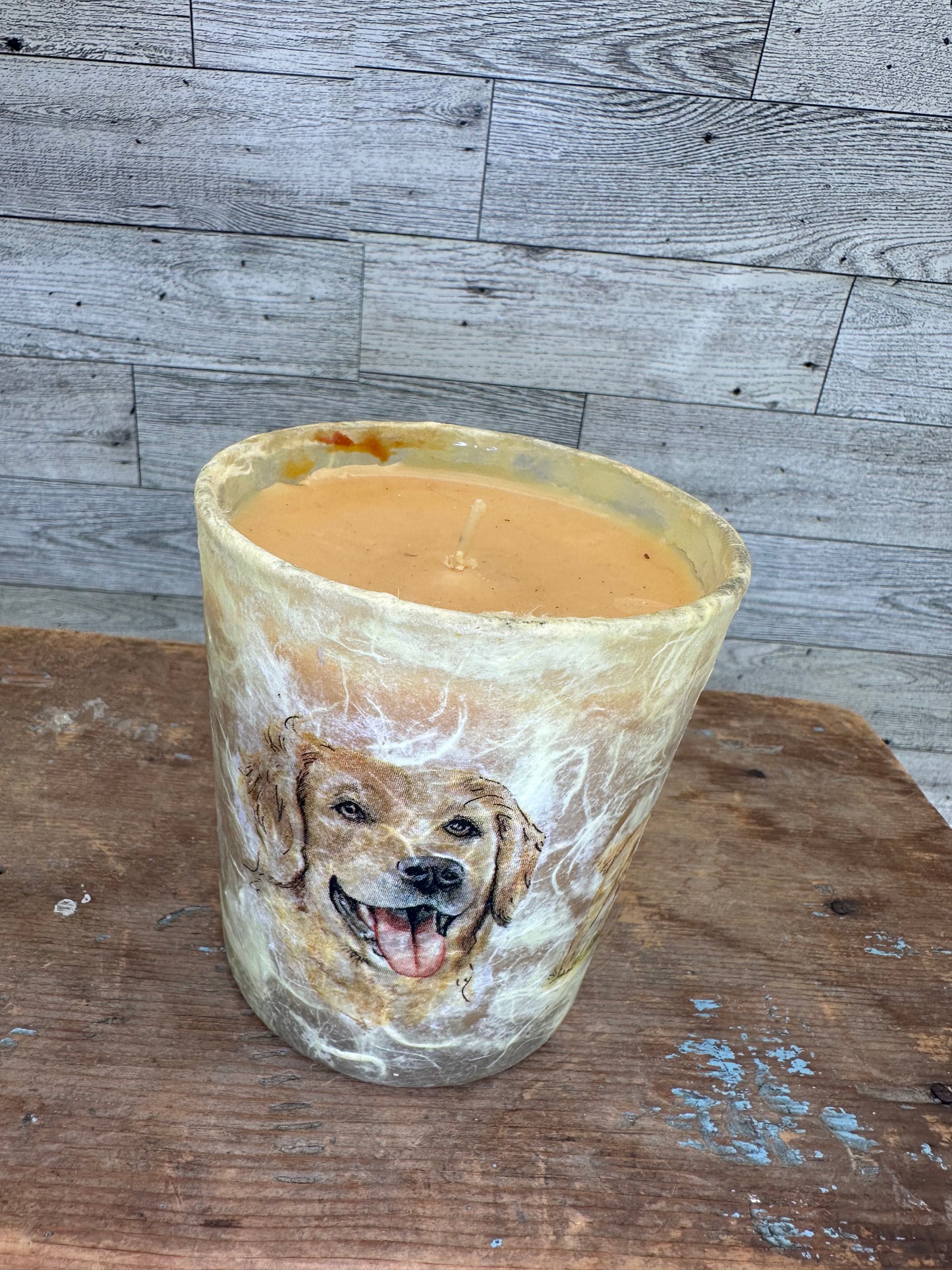 12 ounce Soy Wax Caramel Vanilla Scented Yellow Lab Candle