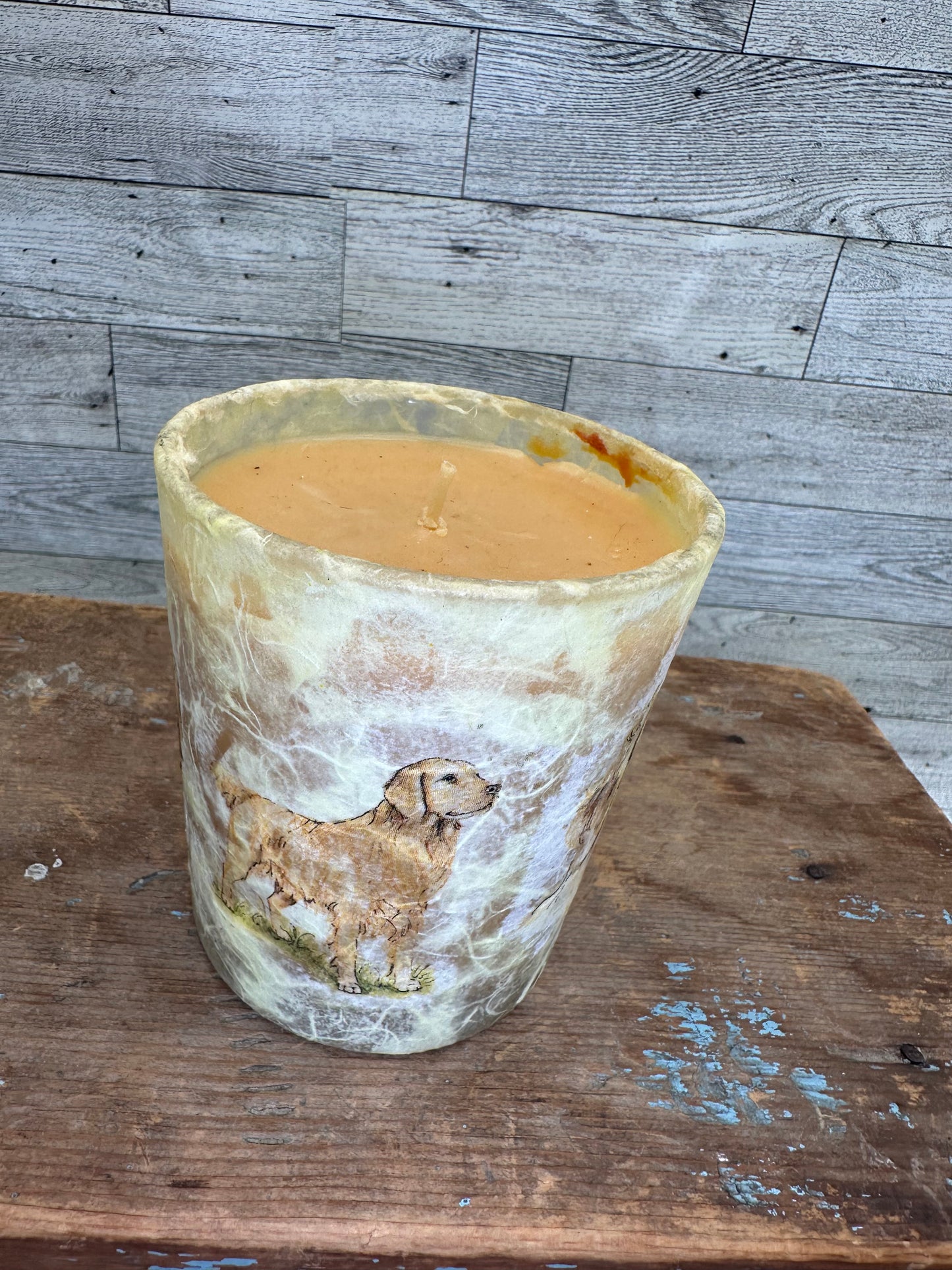 12 ounce Soy Wax Caramel Vanilla Scented Yellow Lab Candle